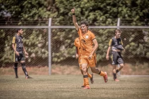 Laranja Mecânica Arapongas